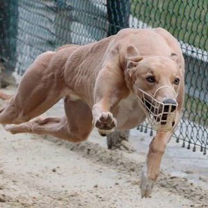 Meet your Posher, Andreas